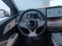 BYD Seagull Smart Drive 305km Vitality Edition - ფოტო 15