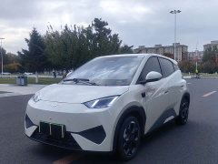 BYD Seagull Smart Driving Edition 305km Freedom Edition - ფოტო 1