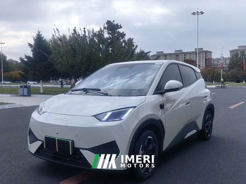 2025 BYD Seagull Smart Driving Edition 305km Freedom Edition