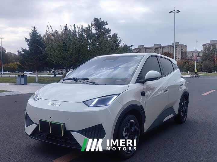 BYD Seagull Smart Driving Edition 305km Freedom Edition