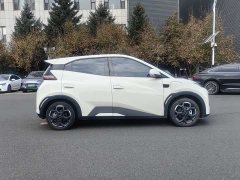 BYD Seagull Smart Driving Edition 305km Freedom Edition - ფოტო 4
