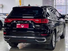 Haval M6 PLUS 1.5T DCT Luxury Smart Connected Edition - ფოტო 19