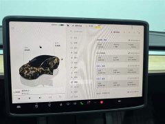 Tesla Model 3 2022 Rear-Wheel Drive - ფოტო 13