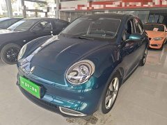ORA Good Cat 401km Standard Range Luxury Trim Ternary Lithium Battery - ფოტო 1