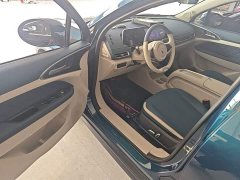 ORA Good Cat 401km Standard Range Luxury Trim Ternary Lithium Battery - ფოტო 15