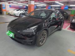 Tesla Model Y Long Range All-Wheel Drive - ფოტო 1