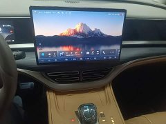 Denza BYD Denza D9 2022 DM-i 970 AWD Premium Edition - ფოტო 12
