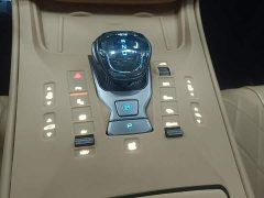 Denza BYD Denza D9 2022 DM-i 970 AWD Premium Edition - ფოტო 13