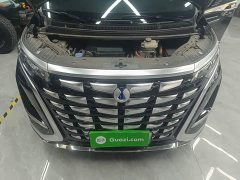 Denza BYD Denza D9 2022 DM-i 970 AWD Premium Edition - ფოტო 19
