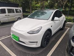 Tesla Model Y Long Range All-Wheel Drive 3D7 - ფოტო 1