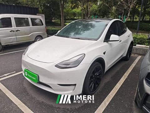 2021 Tesla Model Y Long Range All-Wheel Drive 3D7 - ავტომობილი ჩინეთიდან