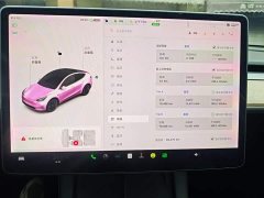 Tesla Model Y Long Range All-Wheel Drive 3D7 - ფოტო 11