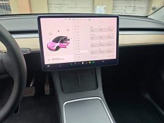 Tesla Model Y Long Range All-Wheel Drive 3D7 - ფოტო 12