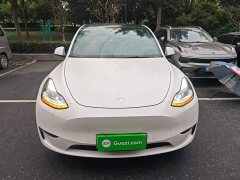 Tesla Model Y Long Range All-Wheel Drive 3D7 - ფოტო 2