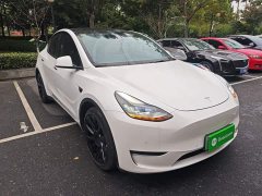 Tesla Model Y Long Range All-Wheel Drive 3D7 - ფოტო 3