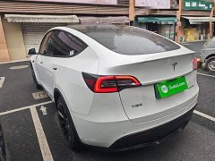Tesla Model Y Long Range All-Wheel Drive 3D7 - ფოტო 4
