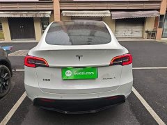 Tesla Model Y Long Range All-Wheel Drive 3D7 - ფოტო 5