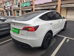 Tesla Model Y Long Range All-Wheel Drive 3D7 - ფოტო 6