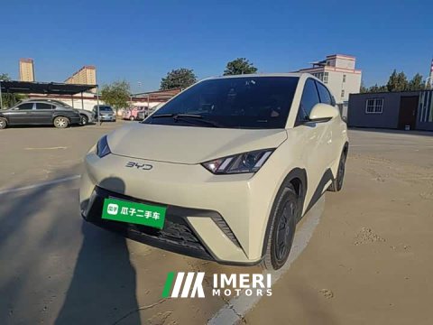 2024 BYD Seagull Glory Edition 305km Vitality Version - ავტომობილი ჩინეთიდან