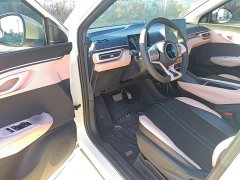 BYD Seagull Glory Edition 305km Vitality Version - ფოტო 11