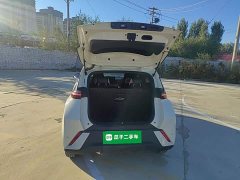 BYD Seagull Glory Edition 305km Vitality Version - ფოტო 14