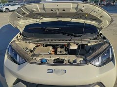 BYD Seagull Glory Edition 305km Vitality Version - ფოტო 15