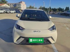 BYD Seagull Glory Edition 305km Vitality Version - ფოტო 2