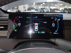 BYD Qin PLUS DM-i Smart Drive Edition 55KM Leading - ფოტო 11