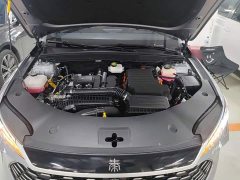 BYD Qin PLUS DM-i Smart Drive Edition 55KM Leading - ფოტო 19