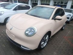 ORA Good Cat 400km Standard Range Venus Edition Ternary Lithium Battery - ფოტო 1