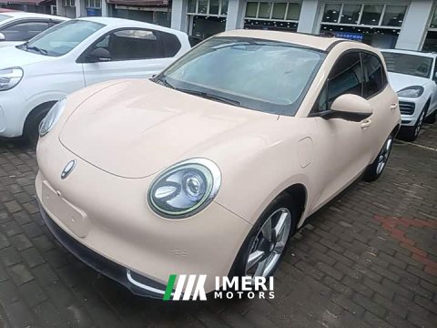 2021 ORA Good Cat 400km Standard Range Venus Edition Ternary Lithium Battery - ავტომობილი ჩინეთიდან