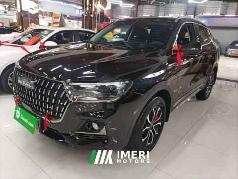 2024 Haval H6 2023 National Trend Edition 1.5T Automatic Urban Version - ავტომობილი ჩინეთიდან