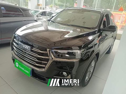 2021 Haval H6 National Trend 1.5T Automatic Champion Edition - ავტომობილი ჩინეთიდან
