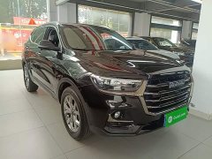 Haval H6 National Trend 1.5T Automatic Champion Edition - ფოტო 3