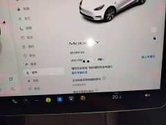 Tesla Model Y Rear-Wheel Drive - ფოტო 11