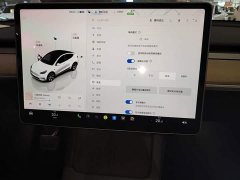 Tesla Model Y Rear-Wheel Drive - ფოტო 12