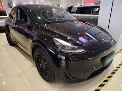 Tesla Model Y Rear-Wheel Drive - ფოტო 3