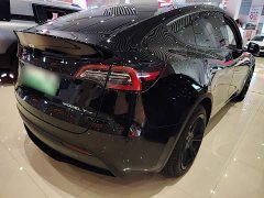Tesla Model Y Rear-Wheel Drive - ფოტო 6