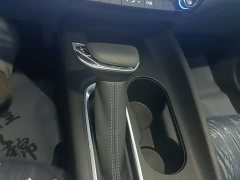 Buick Weilan 6 2024 450km Comfort Plus Edition - ფოტო 13