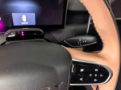 Chery Tiggo 8L 2.0T FWD Luxury 5-Seater - ფოტო 13