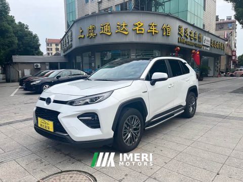 2024 Toyota Wildland Hybrid 2.5L E-CVT FWD Luxury Plus - ავტომობილი ჩინეთიდან