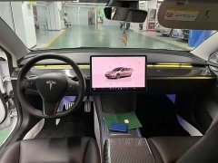 Tesla Model 3 Performance All-Wheel Drive - ფოტო 9