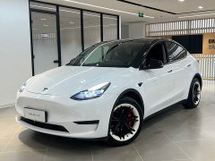 Tesla Model Y Rear-Wheel Drive - ფოტო 1