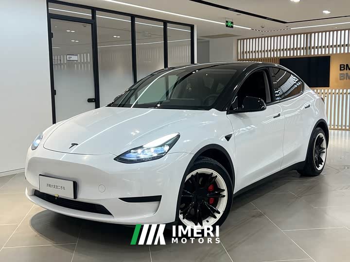 Tesla Model Y Rear-Wheel Drive