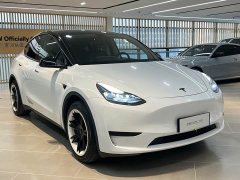 Tesla Model Y Rear-Wheel Drive - ფოტო 3