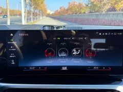 BMW 3 Series 320Li M Sport Package - ფოტო 14