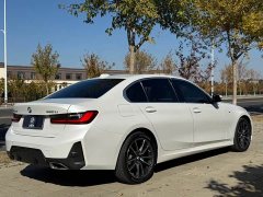 BMW 3 Series 320Li M Sport Package - ფოტო 4
