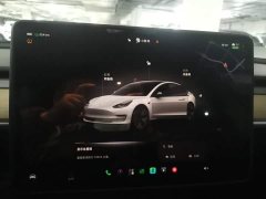 Tesla Model 3 Rear-Wheel Drive - ფოტო 14
