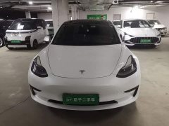 Tesla Model 3 Rear-Wheel Drive - ფოტო 2