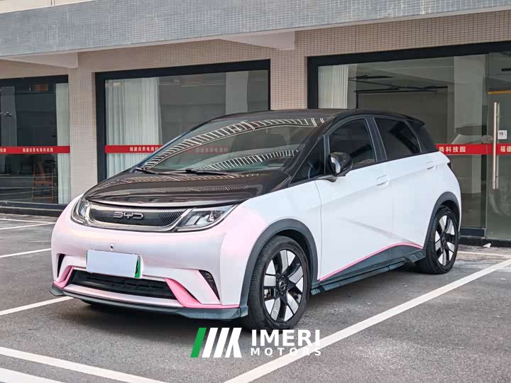 BYD Dolphin 401km Knight Edition